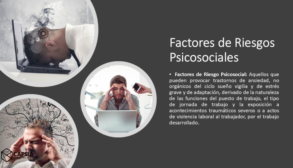 Diapositiva3
